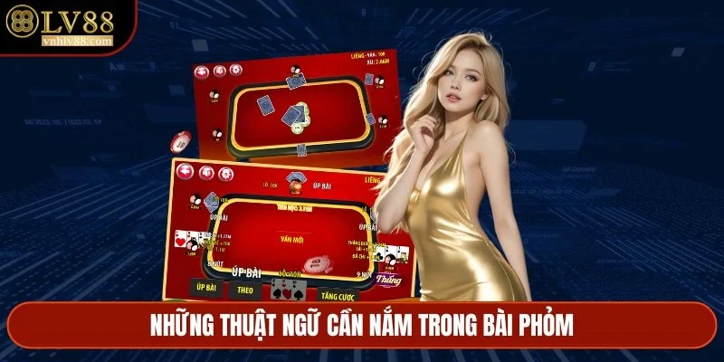 Những thuật ngữ cần nắm trong bài phỏm