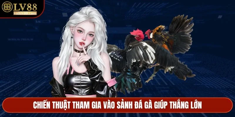 Chiến thuật tham gia vào sảnh đá gà giúp thắng lớn