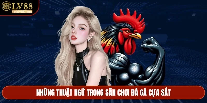 Những thuật ngữ trong sân chơi đá gà cựa sắt