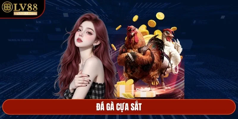 Đá gà cựa sắt
