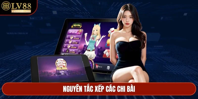 Nguyên tắc xếp các chi bài