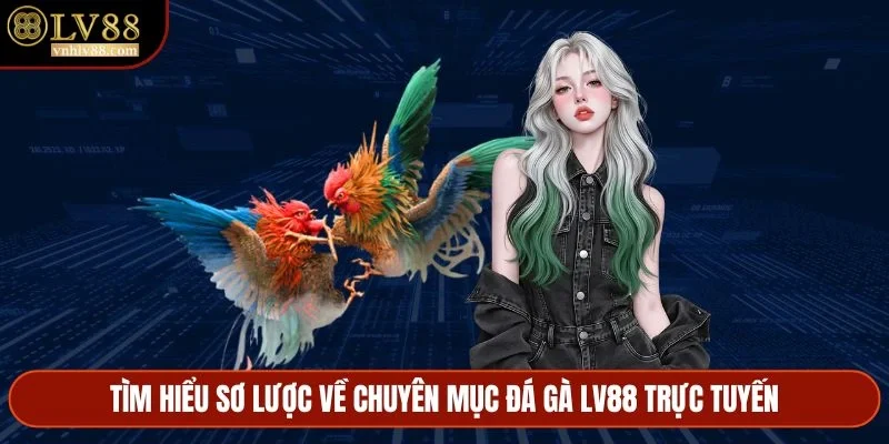 Tìm hiểu sơ lược về chuyên mục đá gà LV88 trực tuyến