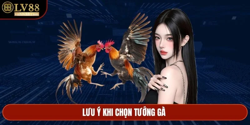 Lưu ý khi chọn tướng gà