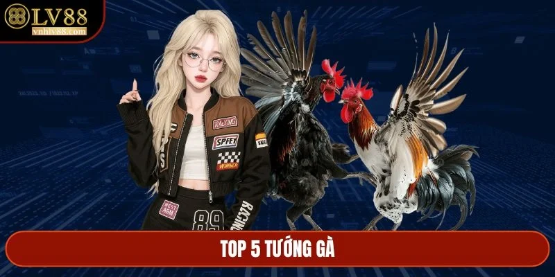 top 5 tướng gà